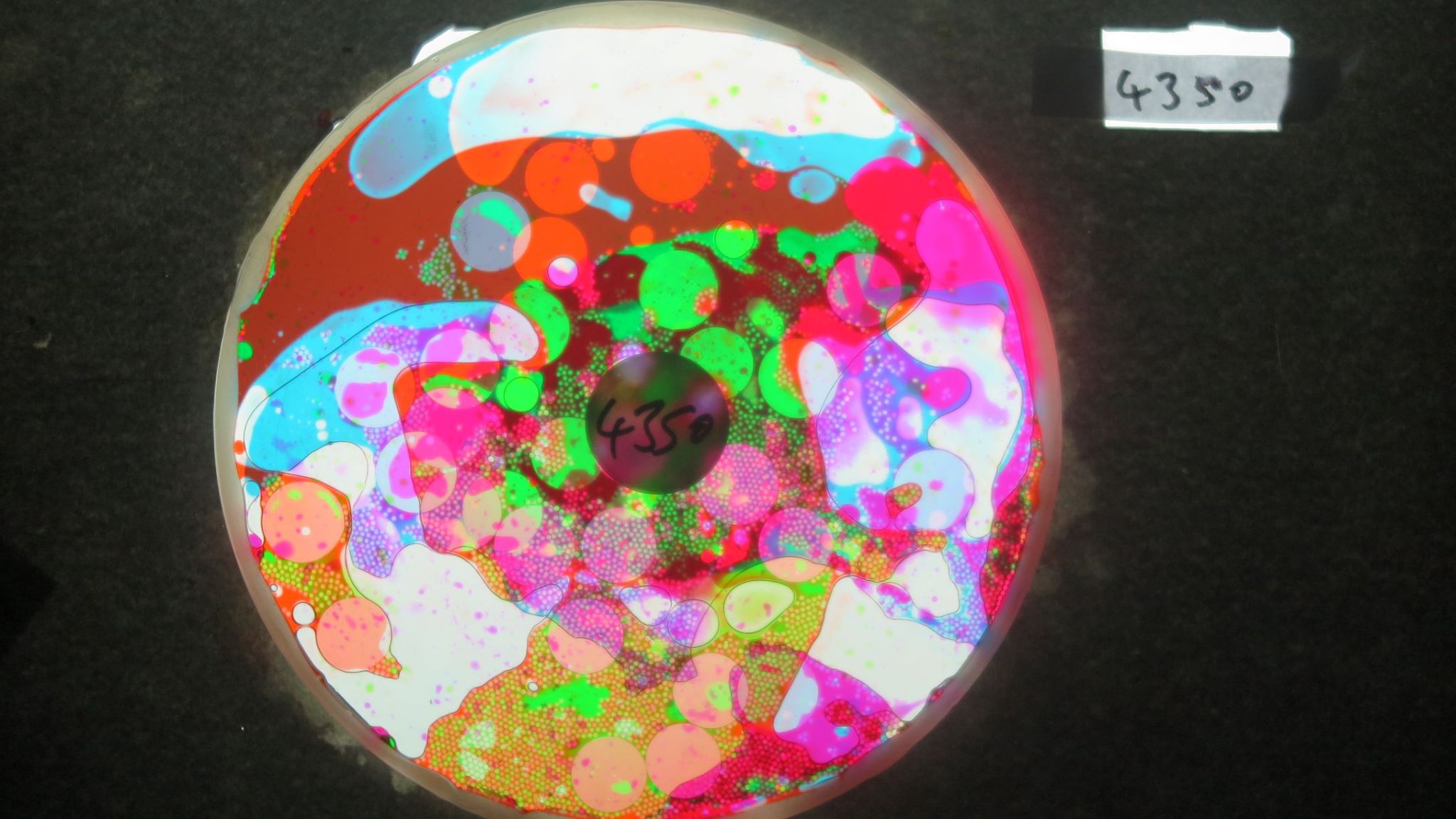 BV4350 bubble vision oil wheel